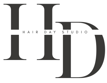 hdlogo